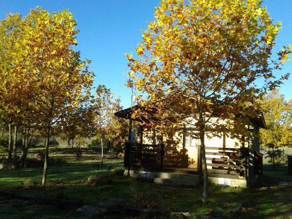 Cabanas Vallecino Manzanal de los Infantes Εξωτερικό φωτογραφία