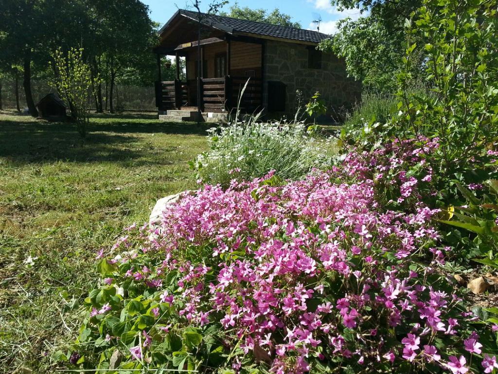 Cabanas Vallecino Manzanal de los Infantes Εξωτερικό φωτογραφία