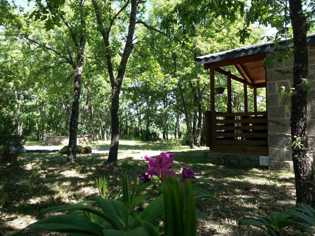 Cabanas Vallecino Manzanal de los Infantes Εξωτερικό φωτογραφία
