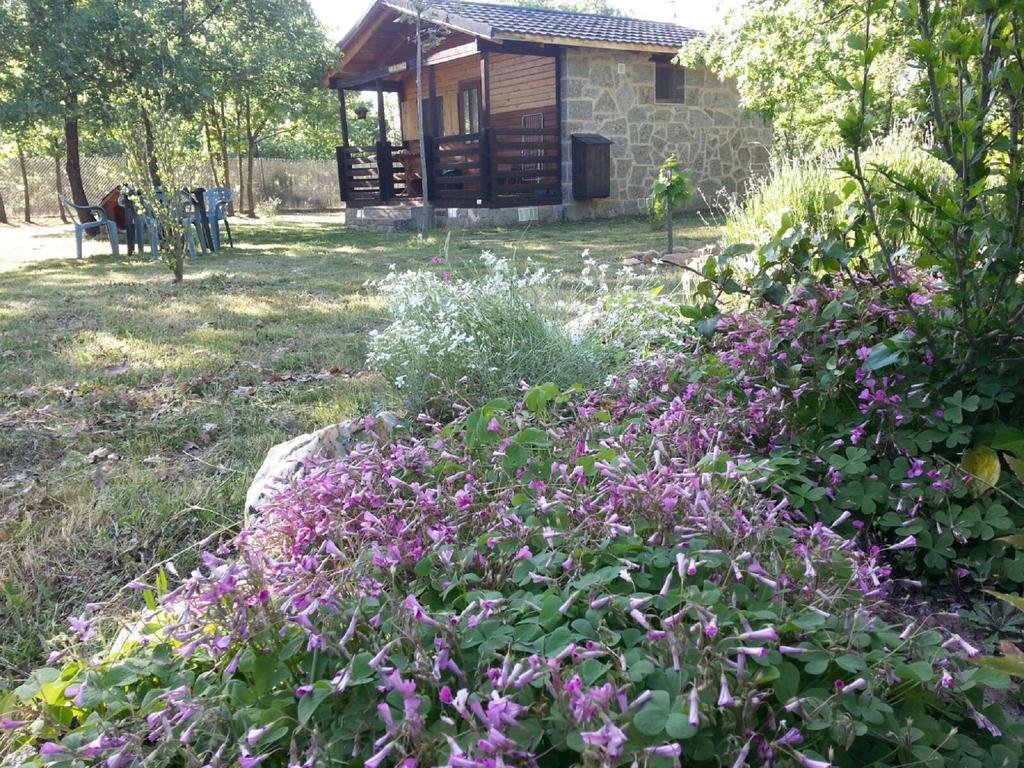 Cabanas Vallecino Manzanal de los Infantes Εξωτερικό φωτογραφία