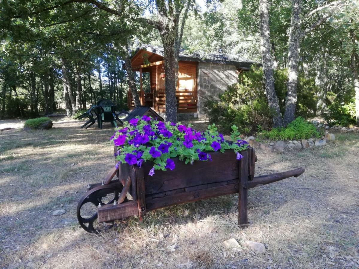 Cabanas Vallecino Manzanal de los Infantes Εξωτερικό φωτογραφία