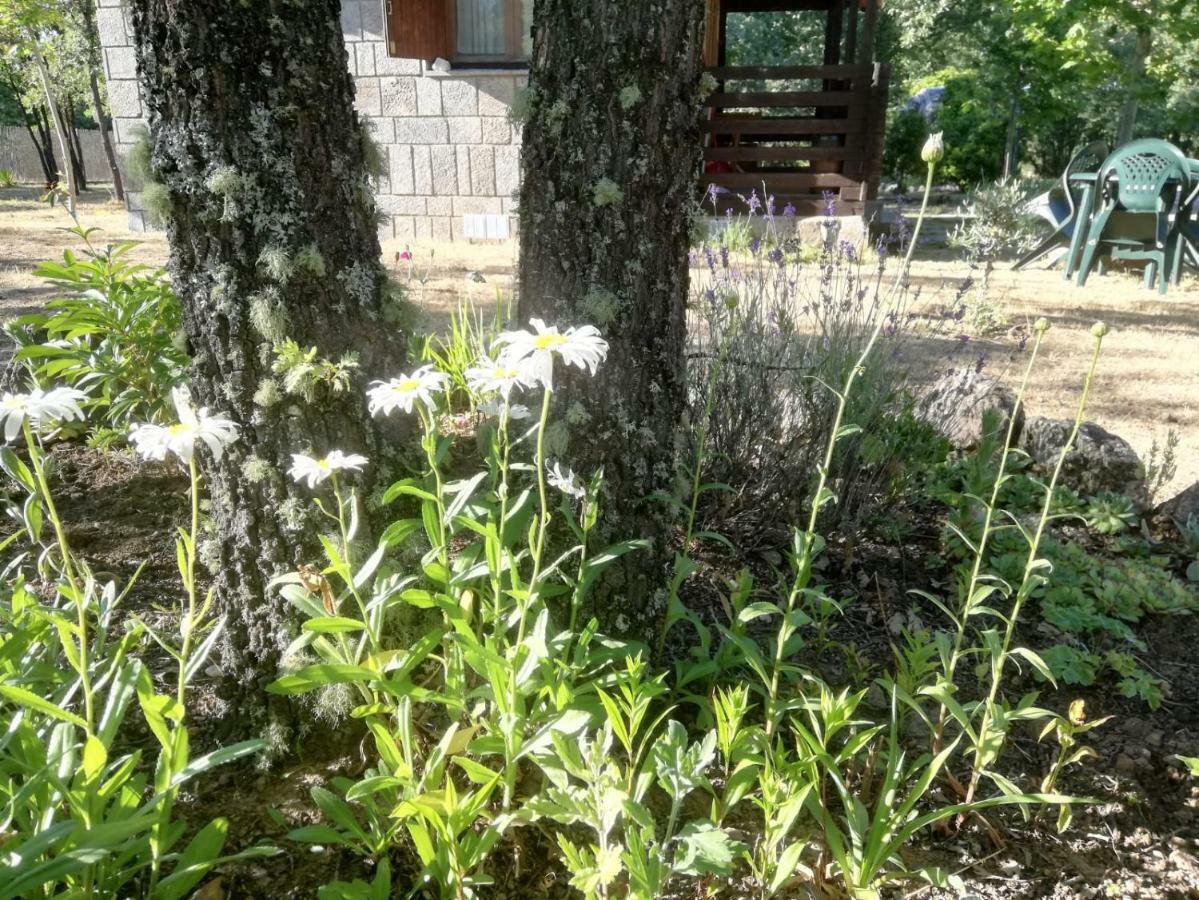 Cabanas Vallecino Manzanal de los Infantes Εξωτερικό φωτογραφία