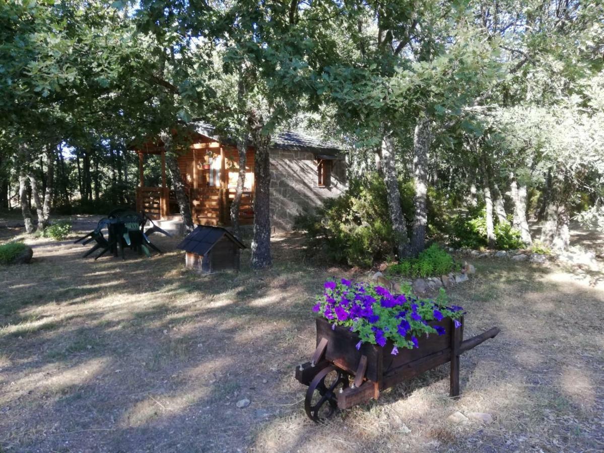 Cabanas Vallecino Manzanal de los Infantes Εξωτερικό φωτογραφία