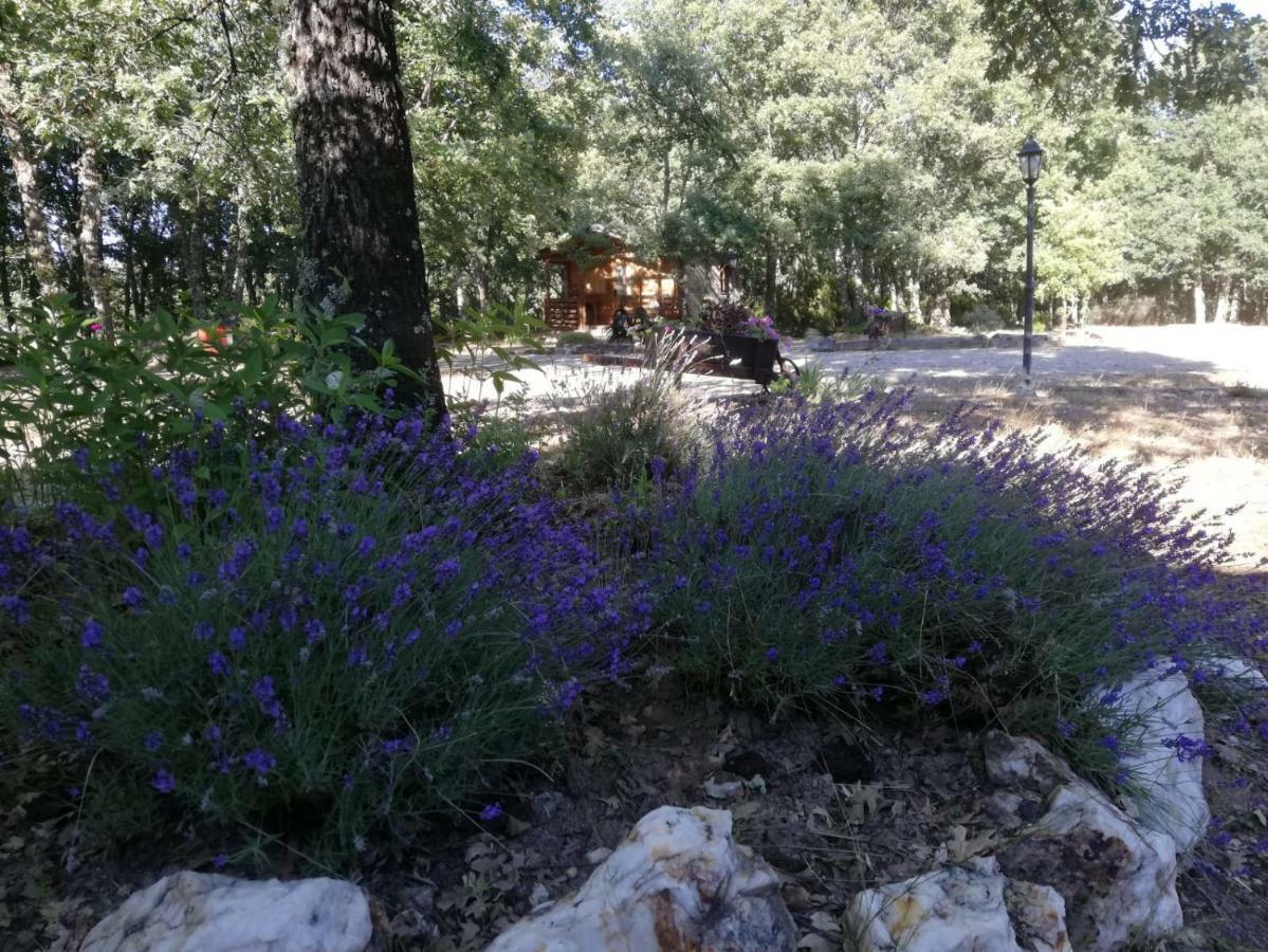 Cabanas Vallecino Manzanal de los Infantes Εξωτερικό φωτογραφία