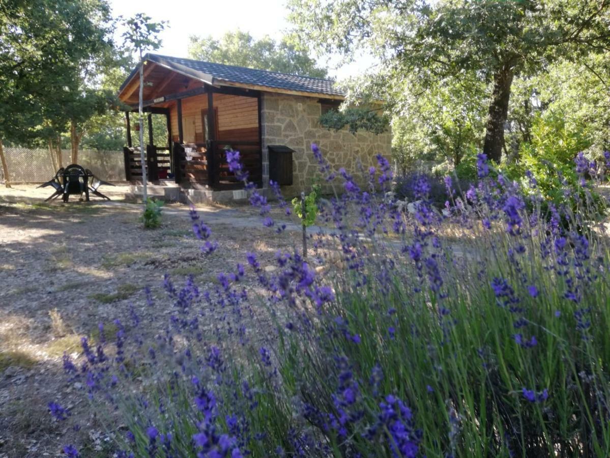 Cabanas Vallecino Manzanal de los Infantes Εξωτερικό φωτογραφία