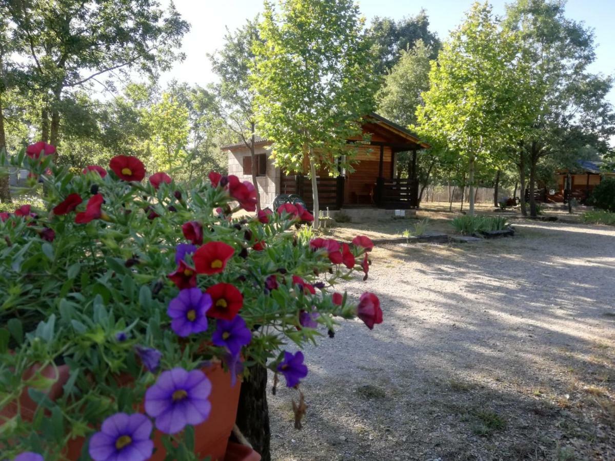Cabanas Vallecino Manzanal de los Infantes Εξωτερικό φωτογραφία