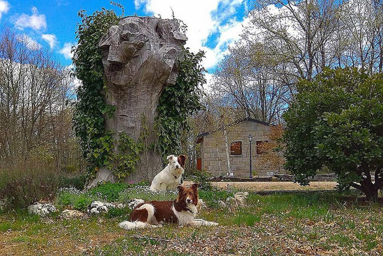 Cabanas Vallecino Manzanal de los Infantes Εξωτερικό φωτογραφία